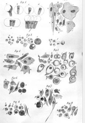 RIDOLF VIRCHOW CELL THEORY ADDITION