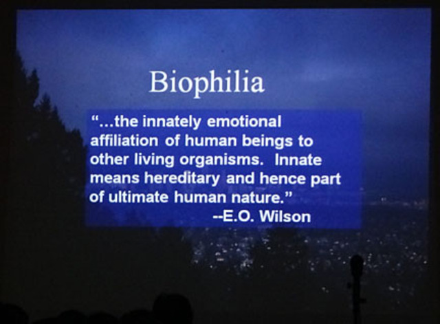 Biophilia Hypothesis