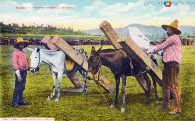 Uso de animales en las labores agrícolas