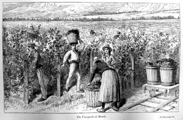 Manejo de de las tierras