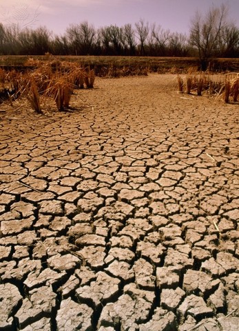 Drought