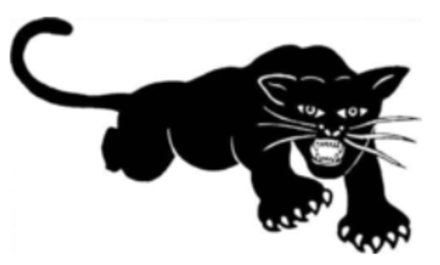 Black Panthers founded