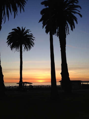 Went to Florida through Make a Wish Foundation