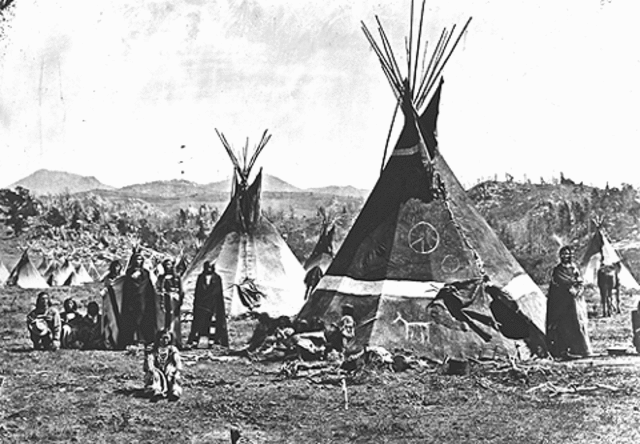 Shoshone Tribe