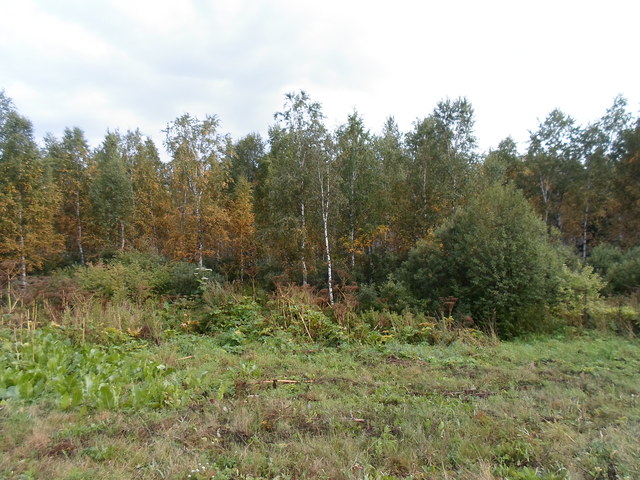 основание поселка