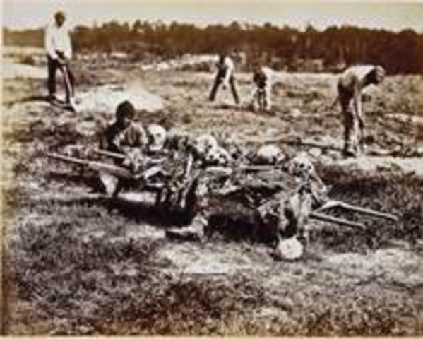 Battle Of Cold Harbor