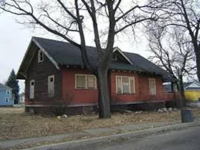 Bud is placed in a temporary home.