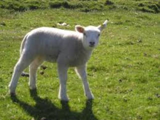 Bud goes on the lam.