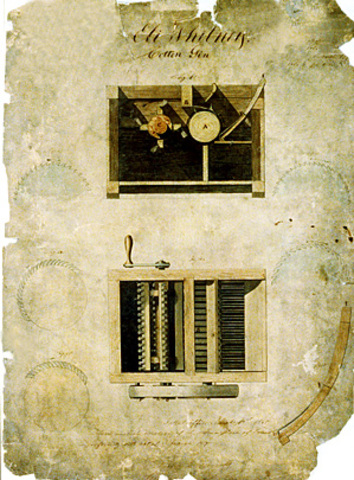 The Cotton Gin (Innovation)