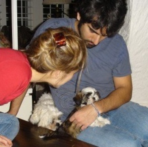 Copper Joins the Family