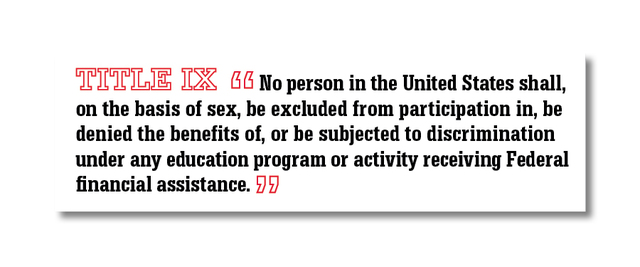Title IX supplemented by Women's Educational Equity Act