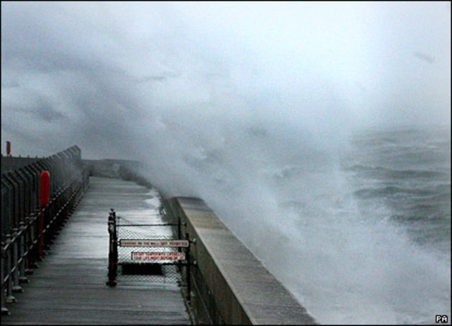 First Film of Nature