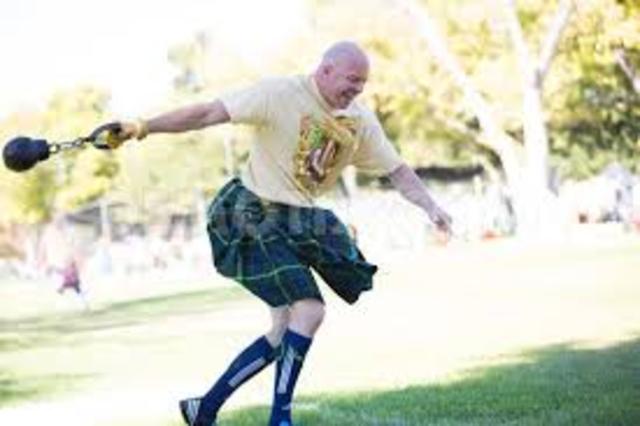 Highland Scotts arive