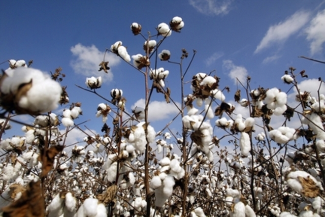 Open up my own business