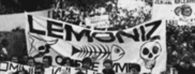 MASIVA MOVILIZACION POPULAR EN CONTRA DE LEMOIZ