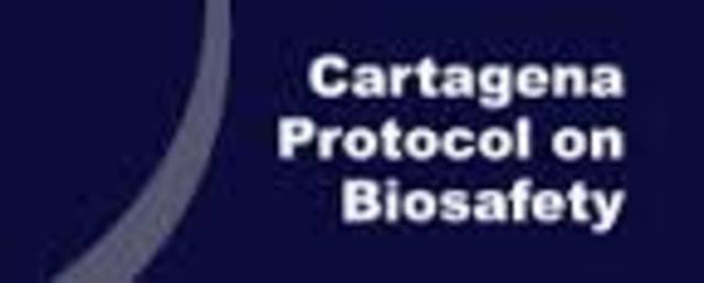 Kenya signs biotech protocol