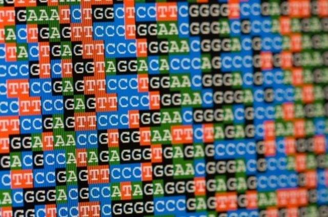 Human genome sequenced