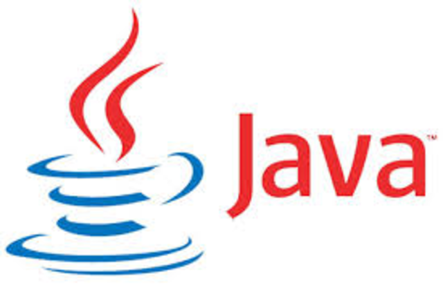•The Java computer language invented.