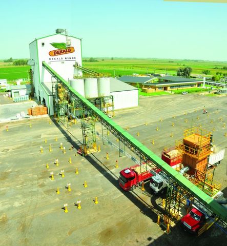 Empieza la producción de herbicidas dónde Roundup es líder en el mercado mundial.