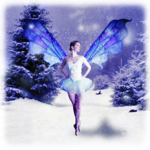 Dance of the Sugar Plum Fairy