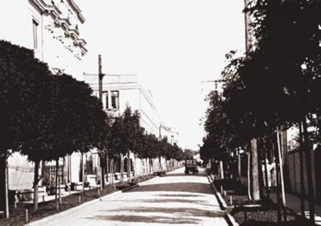 Књижевни рад