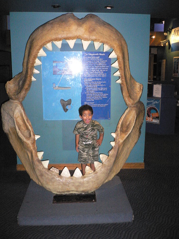 Underwater World - First Trip.