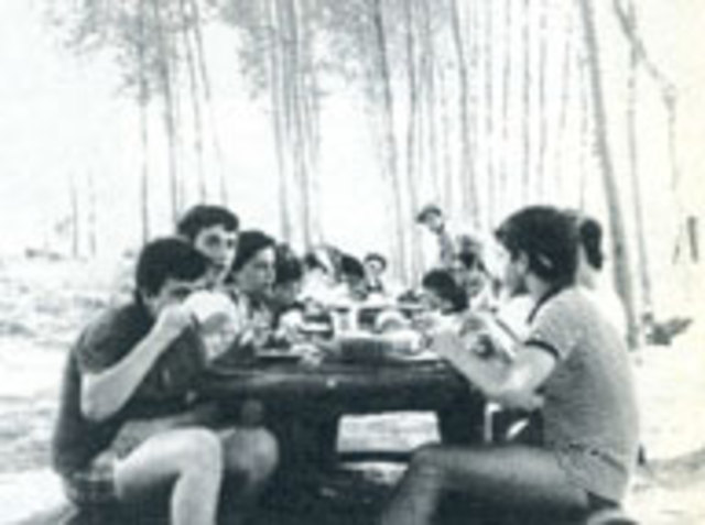 NACEN LAS COLONIAS DE VERANO