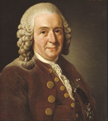 Linneo (Clasificación y evolución)