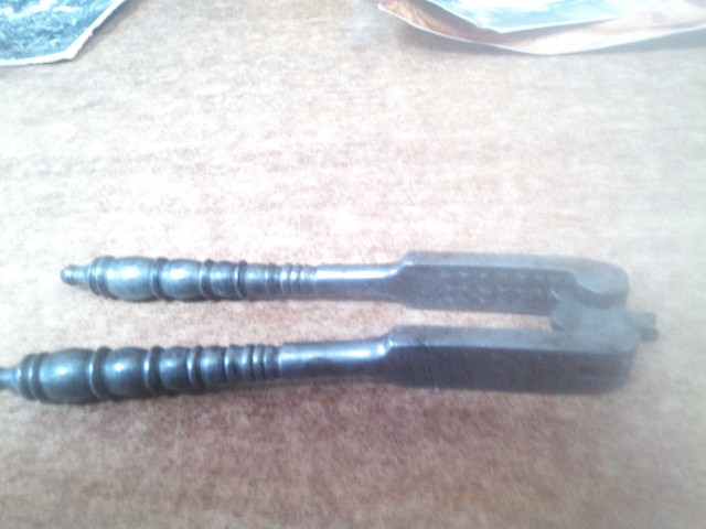 Krckalica za orahe i lešnike