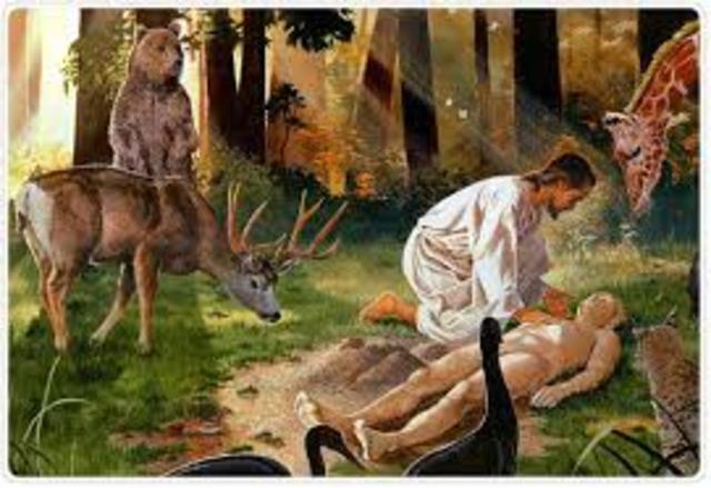 Teorías actuales (Creacionismo)