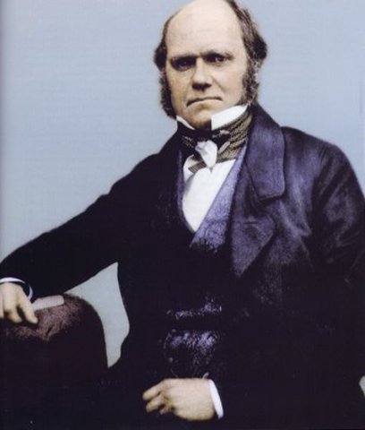 LYELL             (EQUILIBRIO DINAMICO)