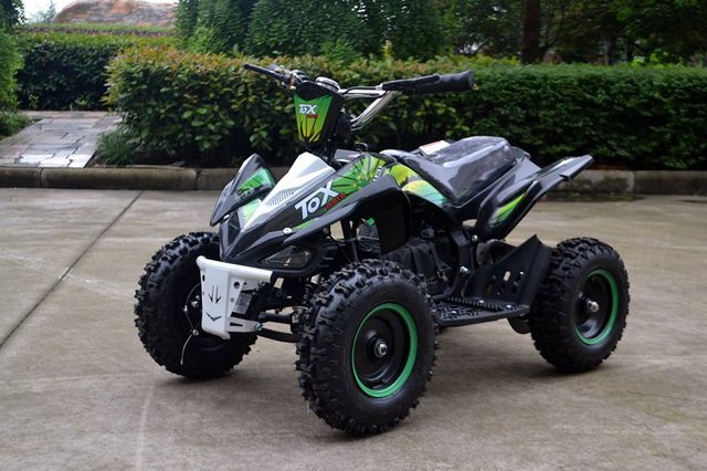 Own a mini electric ATV