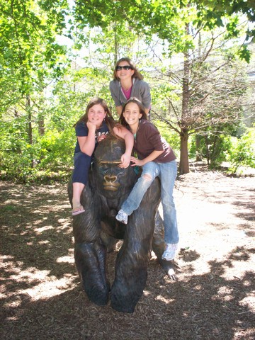 School trip to Chicago