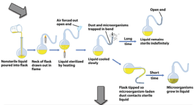 Pasteur's experiment