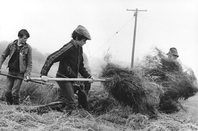 Virginia first state to have Futures Farmers clubs for boys.