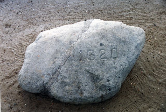 Plymouth Rock