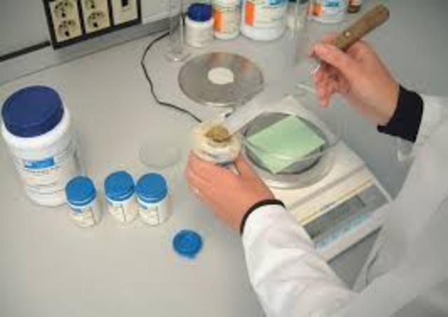 Inicia etapa de formulación