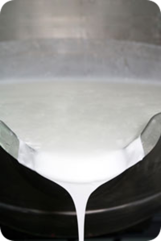 Finaliza etapa de formulación