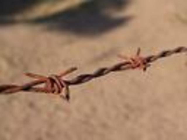 Barbed Wire- Joseph Glidden