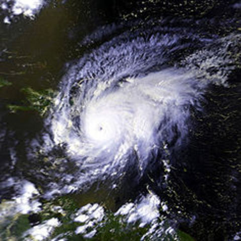Hurricane David struck along the central Florida coast, leaving several people dead and millions of dollars in damage.