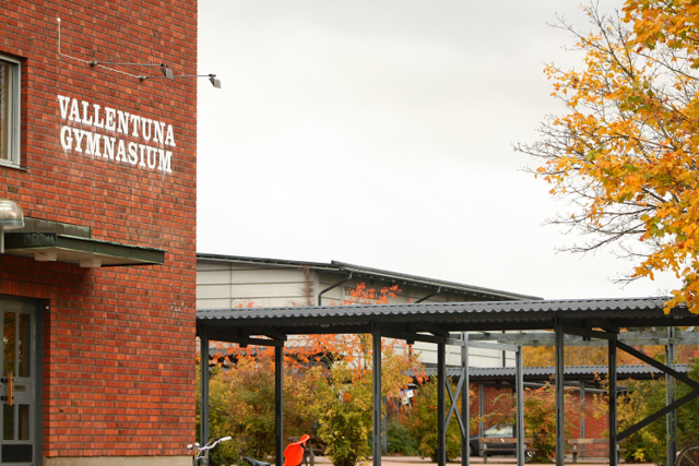 Besök och vägledning med Fredrik Björnsson från Vallentuna gymnasium