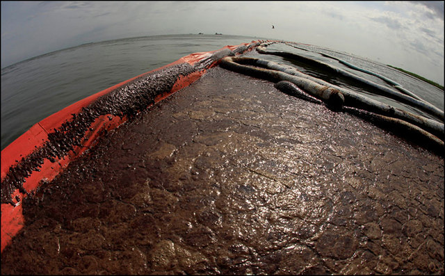 BP oil spill