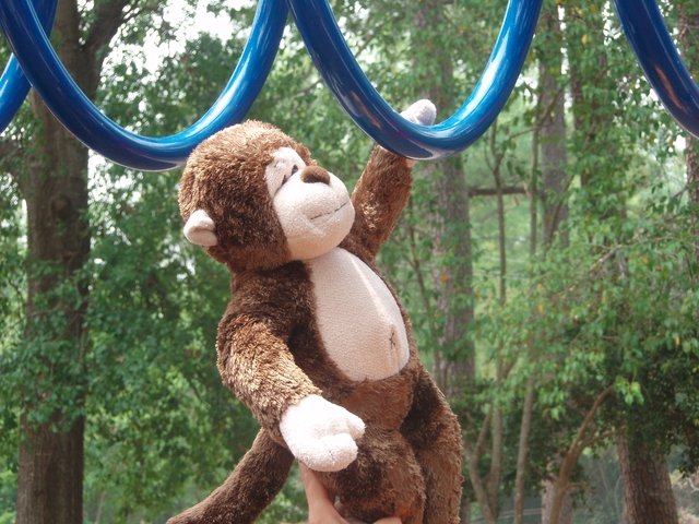 Go across the moneky bars without falling