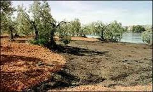 Toxic Spill in Spain National Park