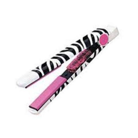 Model of the flat iron