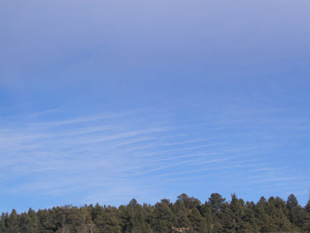 Indoor air samples found