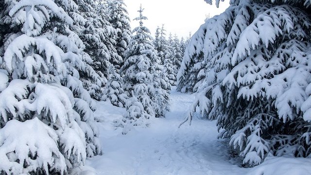 How Snow Affected the Expedition