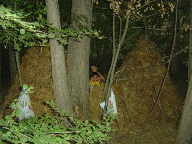 Vam anar a Cortes de Tajuña i vam fer una cabanya.