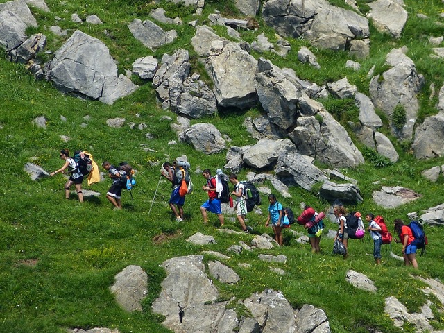 CREACIÓN DE COLONIAS Y TIEMPO LIBRE