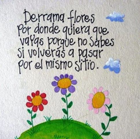 PROMOCION  A.S.D.    2014